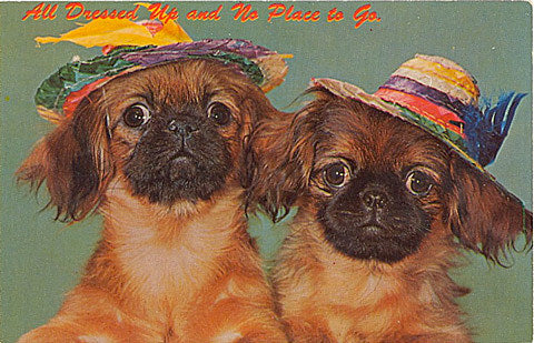 tix on sale: Graham Nash, Pearl Jam, Beyonce, Aziz Ansari, Amy Schumer, Underachievers, Tamaryn, Micachu & more