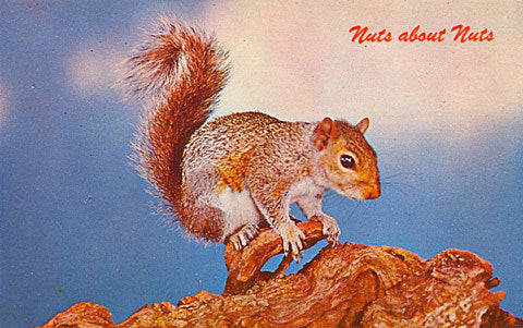 tix on sale: Sufjan Stevens, Zombies, Fuzz, Mercury Rev, Minus the Bear, Chvrches, Empress Of, Mick Jenkins & more
