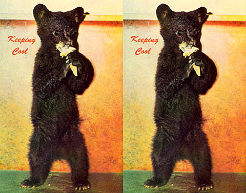 tix on sale: Godspeed You! Black Emperor, Kurt Vile, Danzig, The Sword, Enslaved, David Johansen, BEMF & more