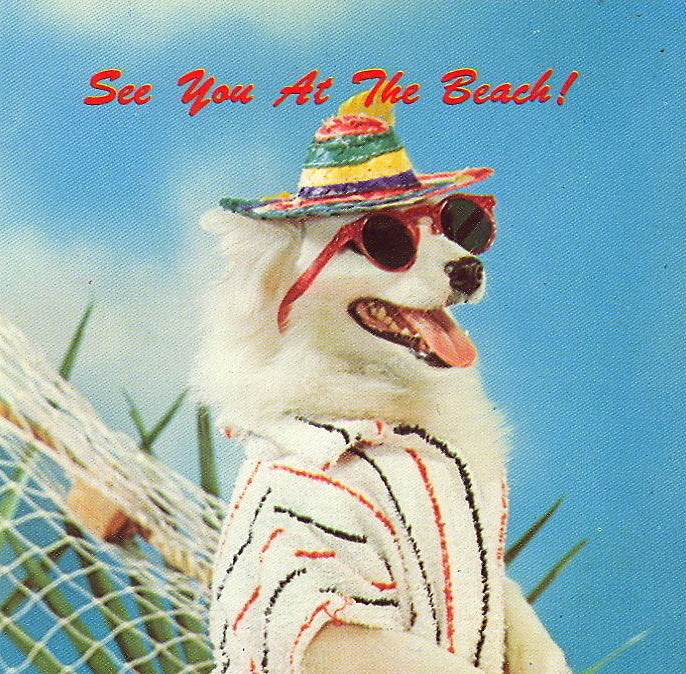 tix on sale: Drake/Migos, Interpol, Spiritualized, Nicki Minaj/Future, more