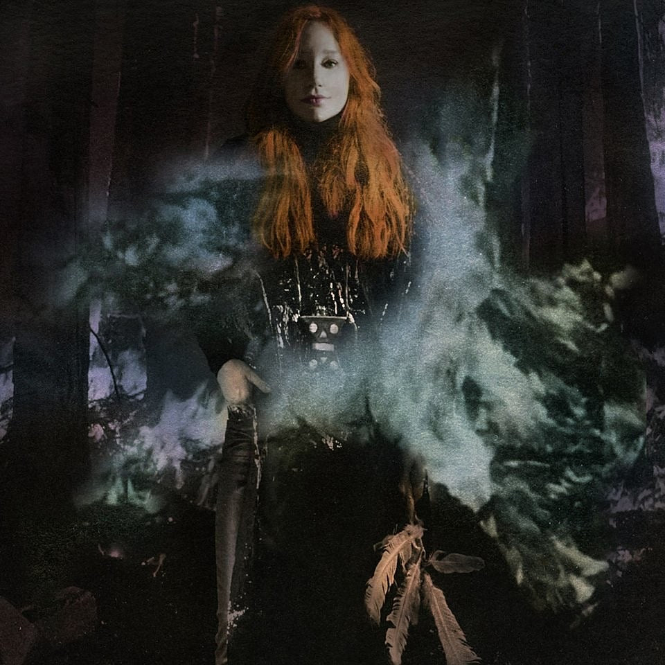 Tori Amos announces 2017 North American tour