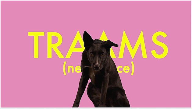 watch Traams’ dog-filled video for “Neckbrace”