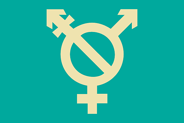 Bandcamp donating profits today to transgender rights (including a new Grouper & Car Seat Headrest songs)
