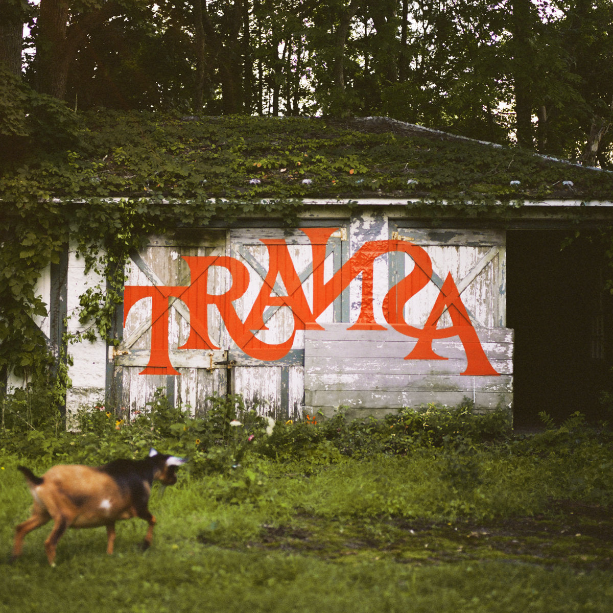 Sade, Jeff Tweedy, Julien Baker, André 3000 & more contribute to new Red Hot comp ‘TRAИƧA’