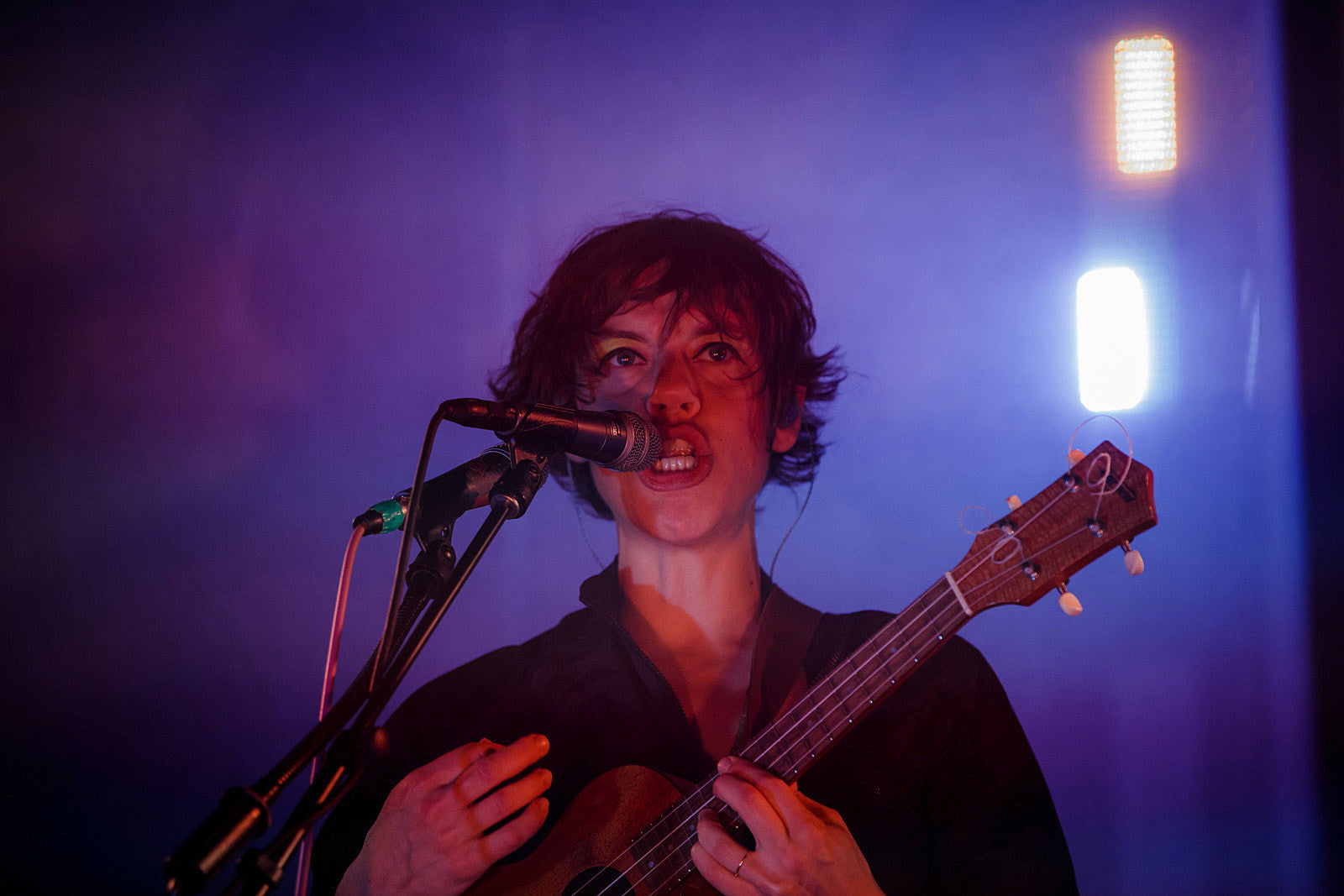 Today’s livestreams (Phish, Grimes, Dashboard Confessional, Tune-Yards, Bully, more)