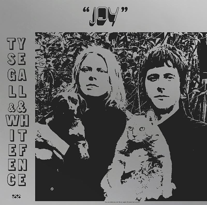 Ty Segall & White Fence collaborating on new LP, share “Joy,” touring West Coast