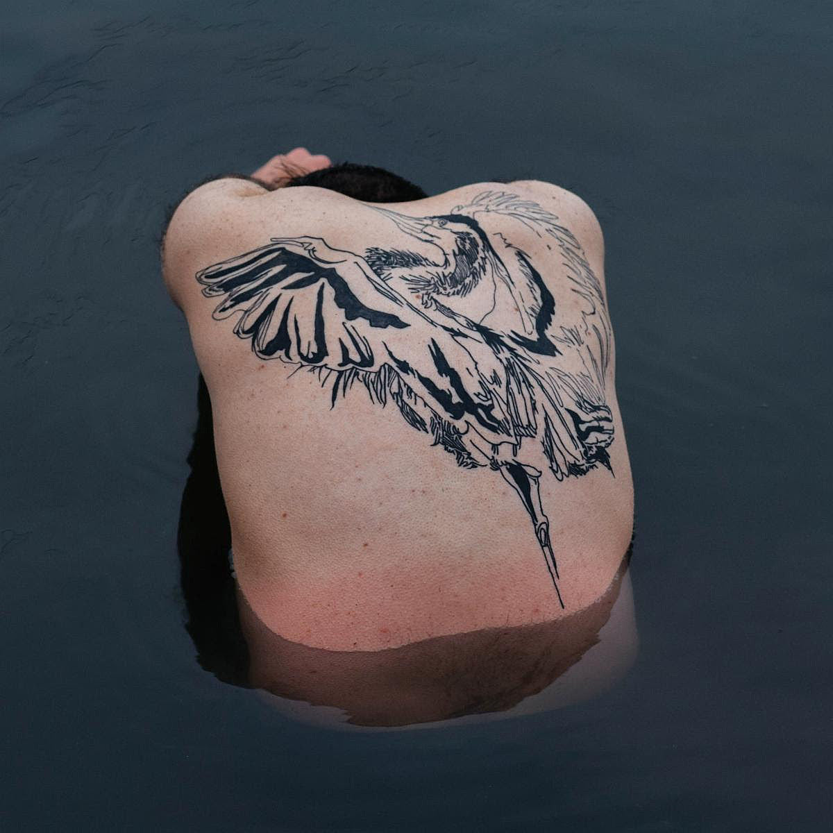 Jodi (ex-Pinegrove) announces debut LP ‘Blue Heron’ (hear “Go Slowly”)