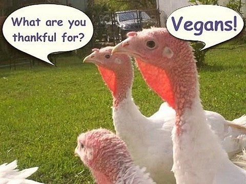 What’s going on Thanksgiving Thursday?