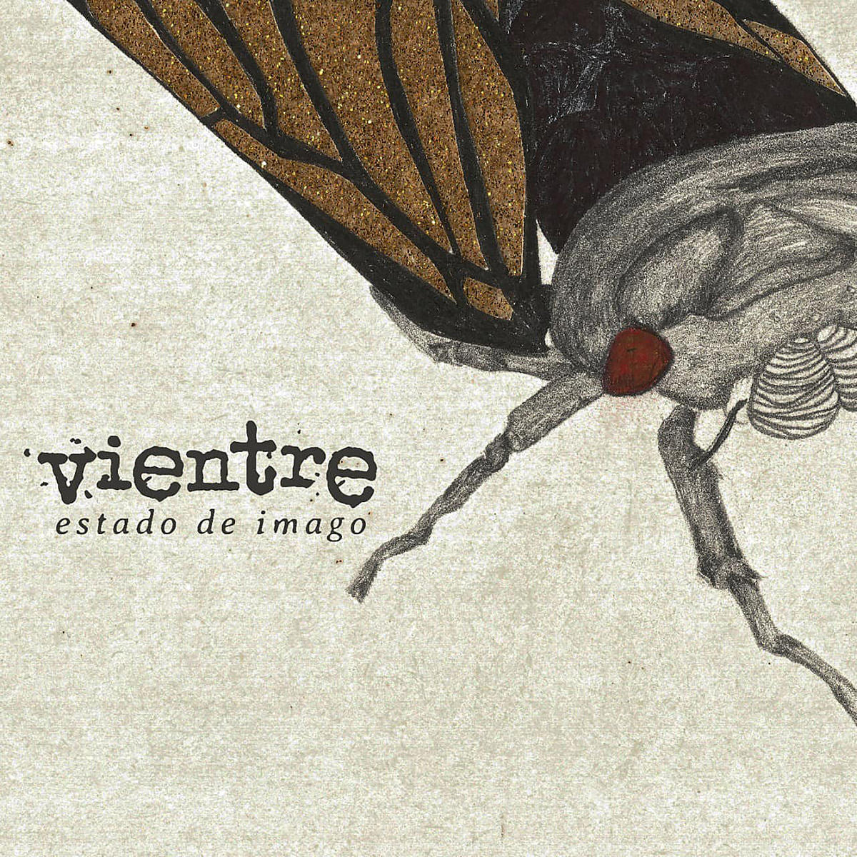Stream Colombian screamo band Vientre’s majestic new album ‘Estado de Imago’