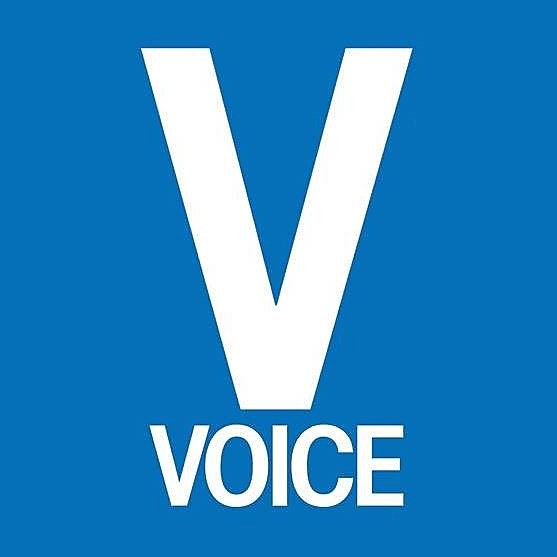Village Voice, RIP (no more online articles either)