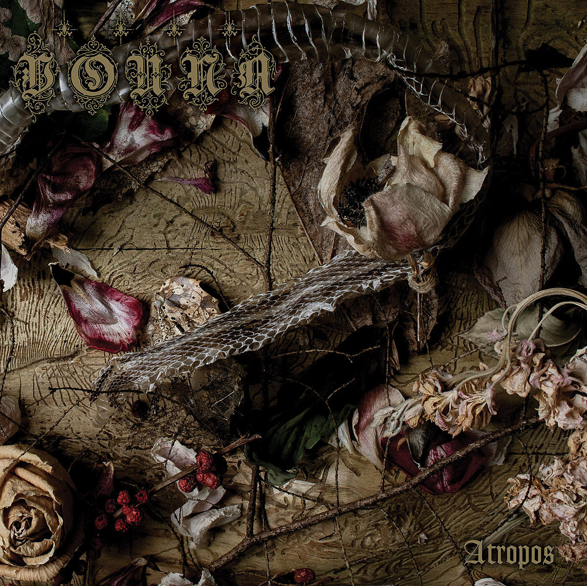 Vouna fuses ethereal goth with black & doom metal on “Highest Mountain” off new LP ‘Atropos’