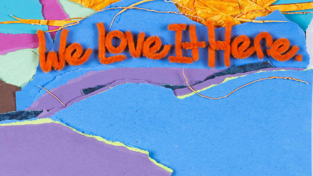 MJ Lenderman, Animal Collective, Reggie Watts, more contribute to new Asheville benefit comp