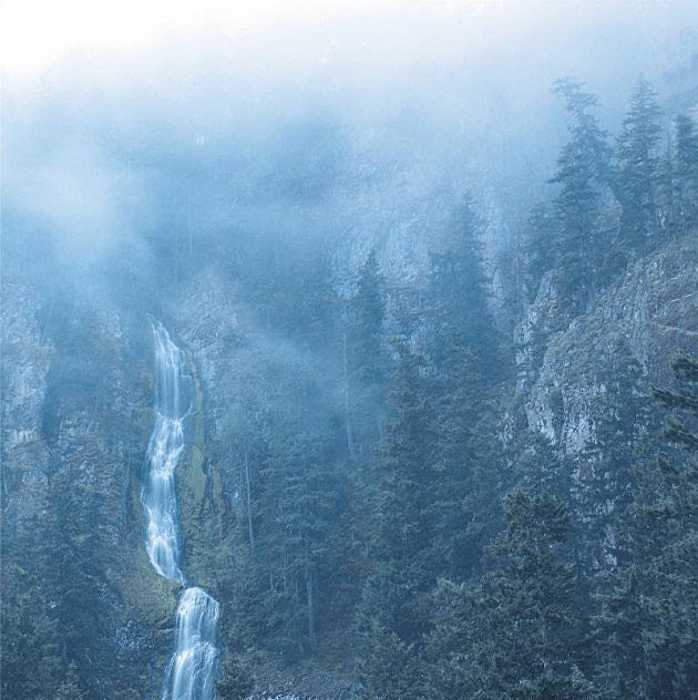 Wolves in the Throne Room announce ‘Diadem Of 12 Stars’ reissue, tour dates