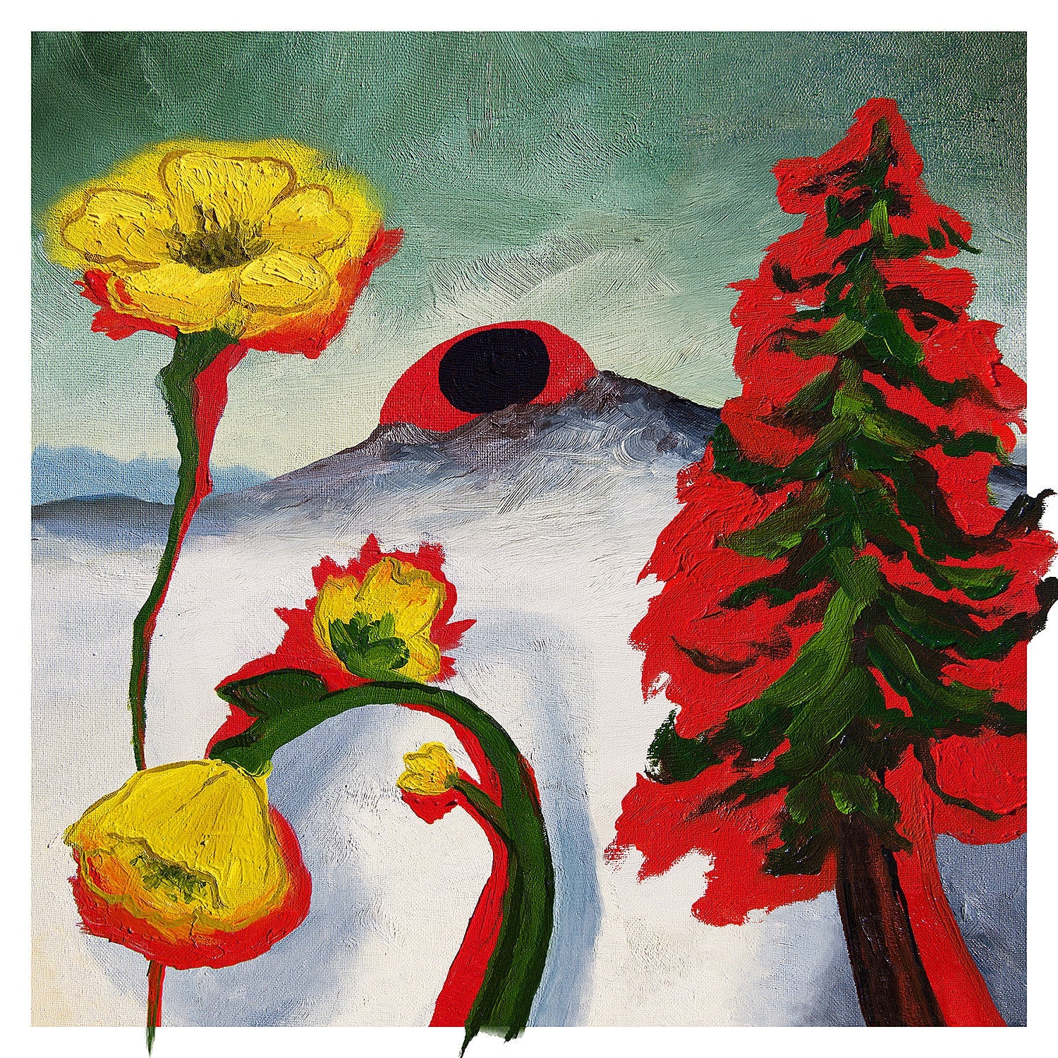 Woods announce new album, share “Where Do You Go When You Dream?,” touring