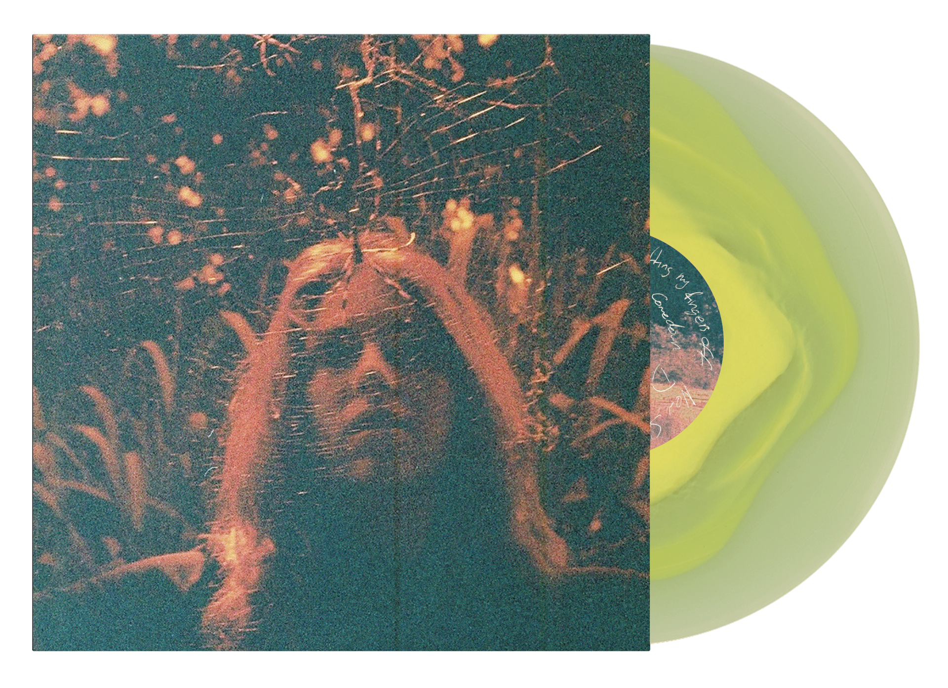 0002_Turnover_PV10_LP_STD_Cand