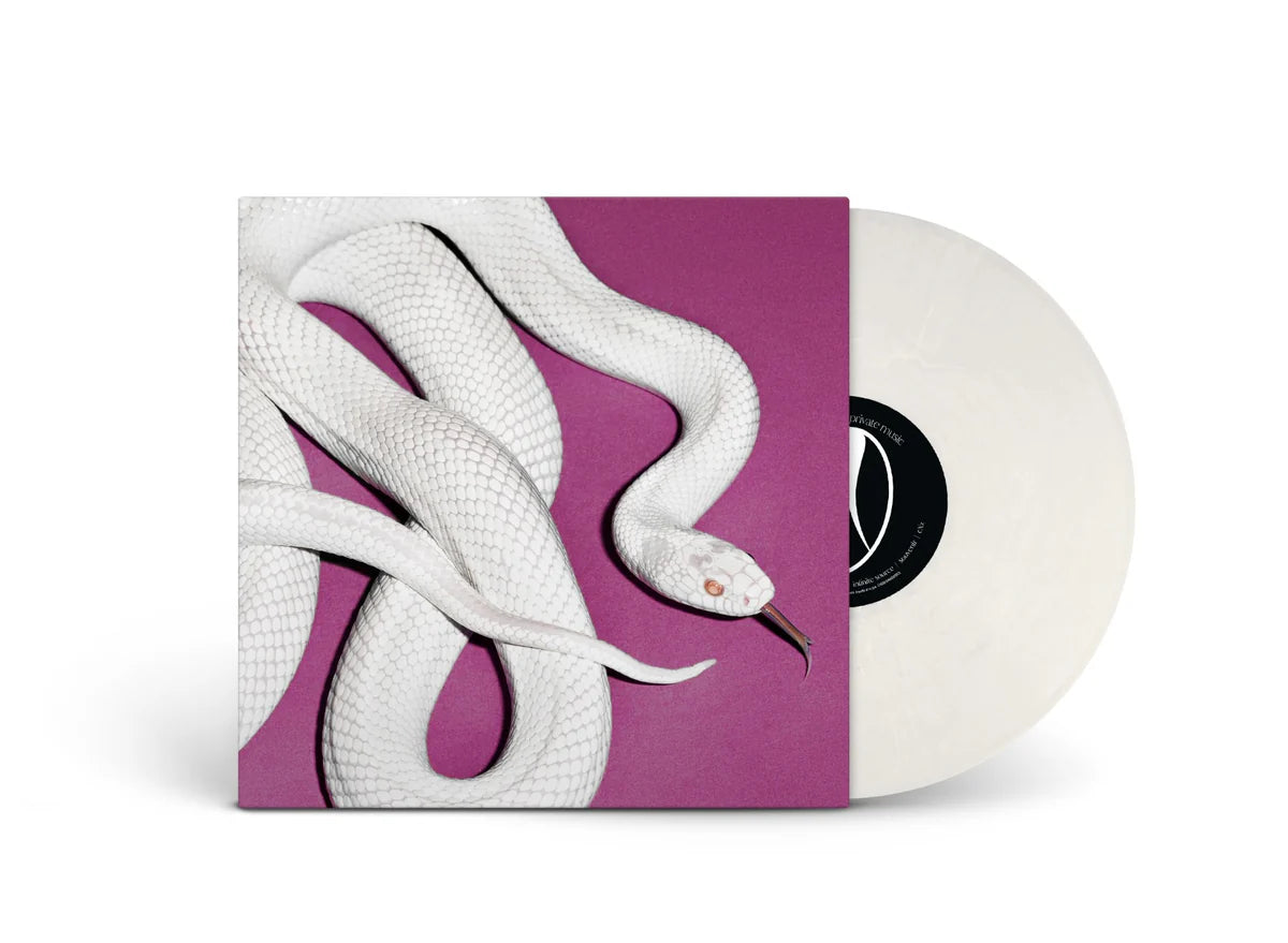 DEFTONES 'PRIVATE MUSIC' LP (Alternate Cover, Fog White Vinyl)