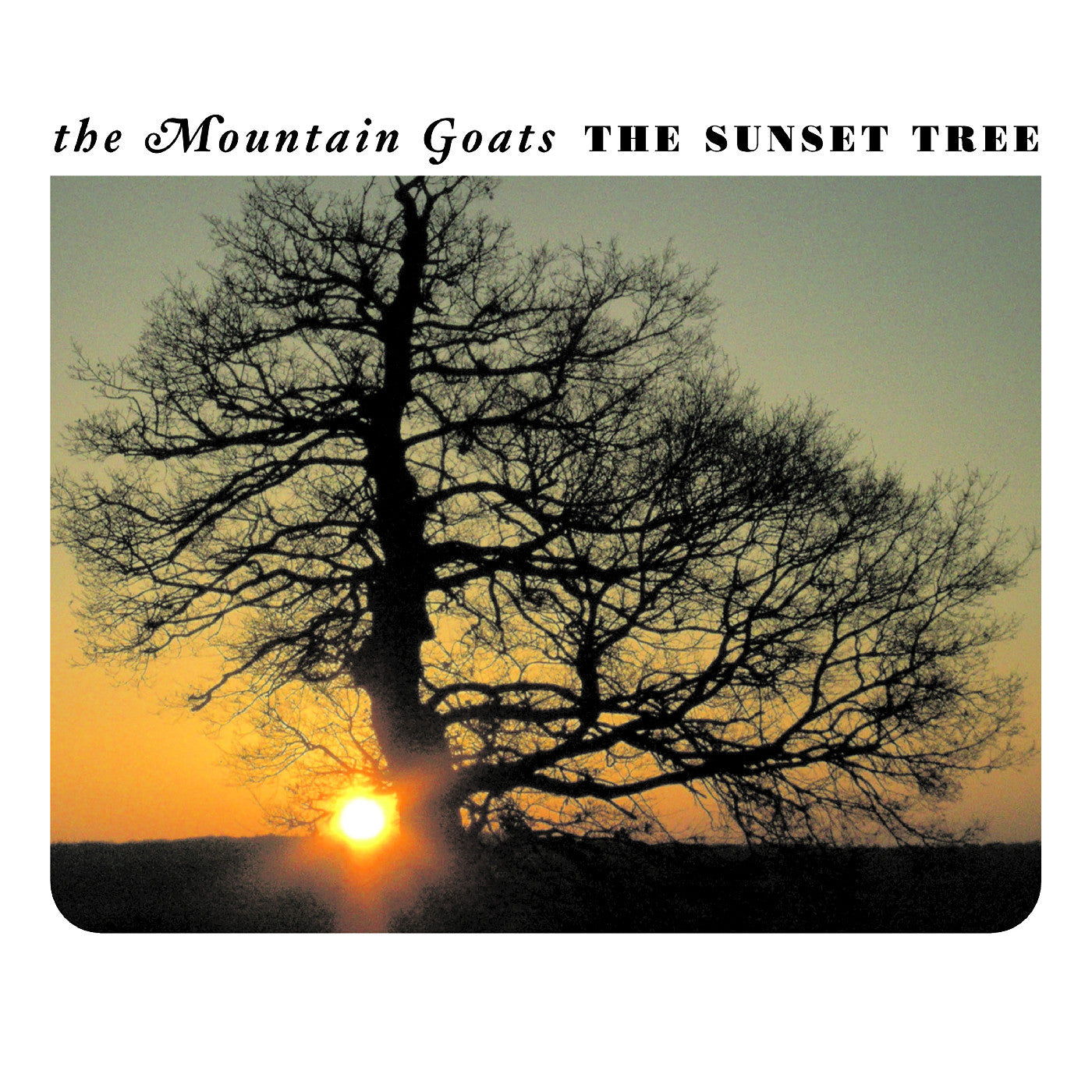 THE MOUNTAIN GOATS 'THE SUNSET TREE' LP (20th Anniversary, Apricot Vinyl)