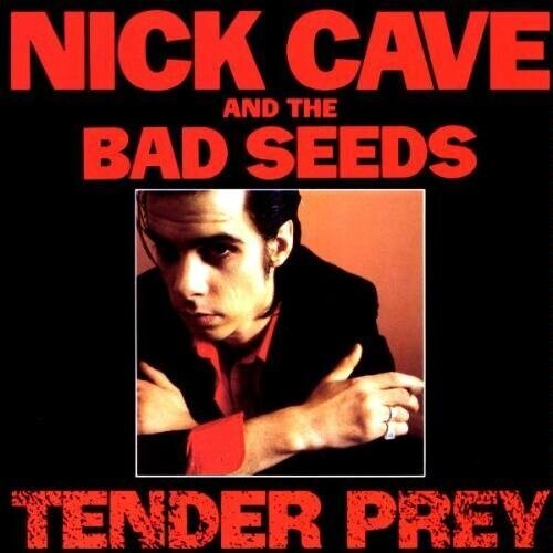 NICK CAVE & THE BAD SEEDS 'TENDER PREY' LP