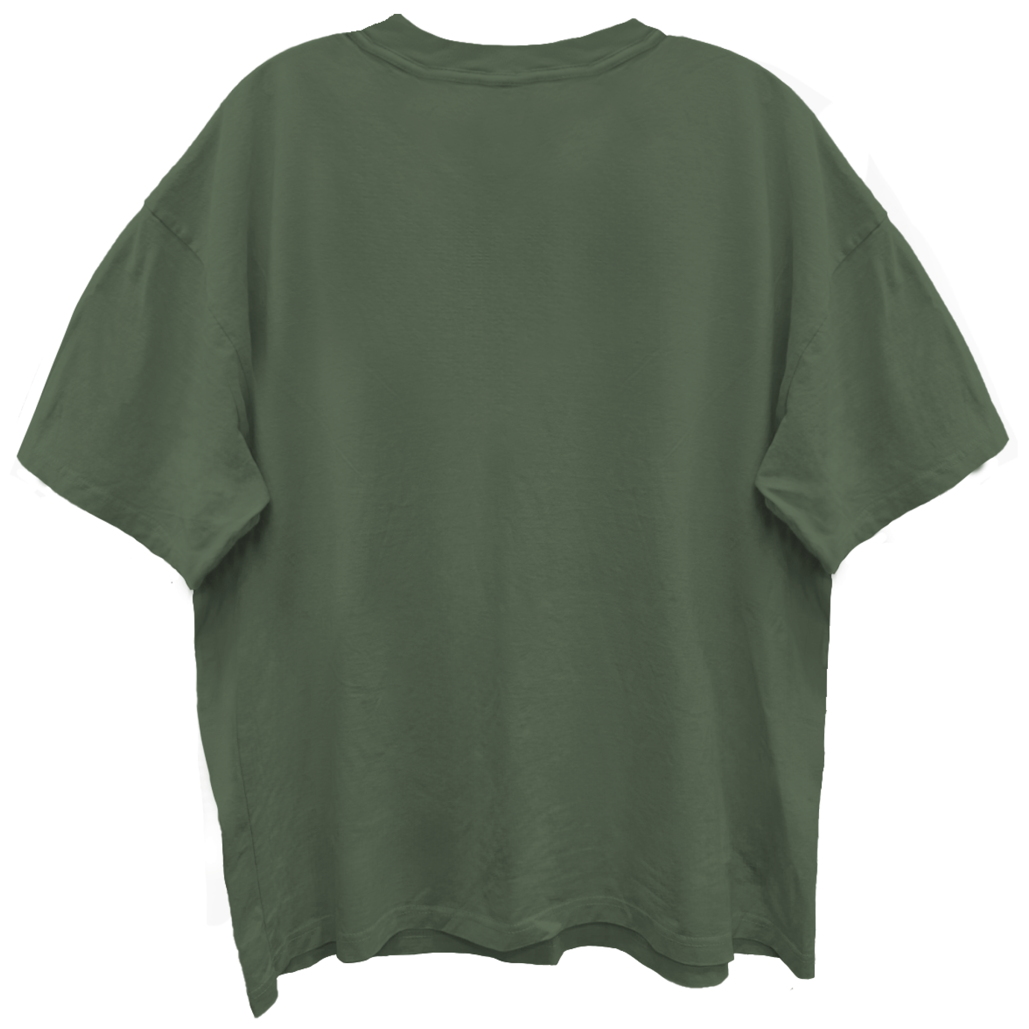 ZZ TOP ELEVATION SKULL ART OLIVE ENYME WASH T-SHIRT/GIANT VINTAGE