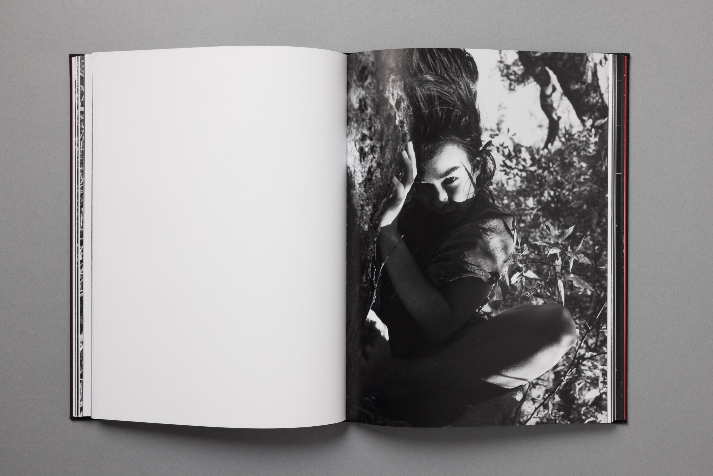MITSKI PHOTO BOOK: KING OF ALL THE LAND, BY EBRU YILDIZ
