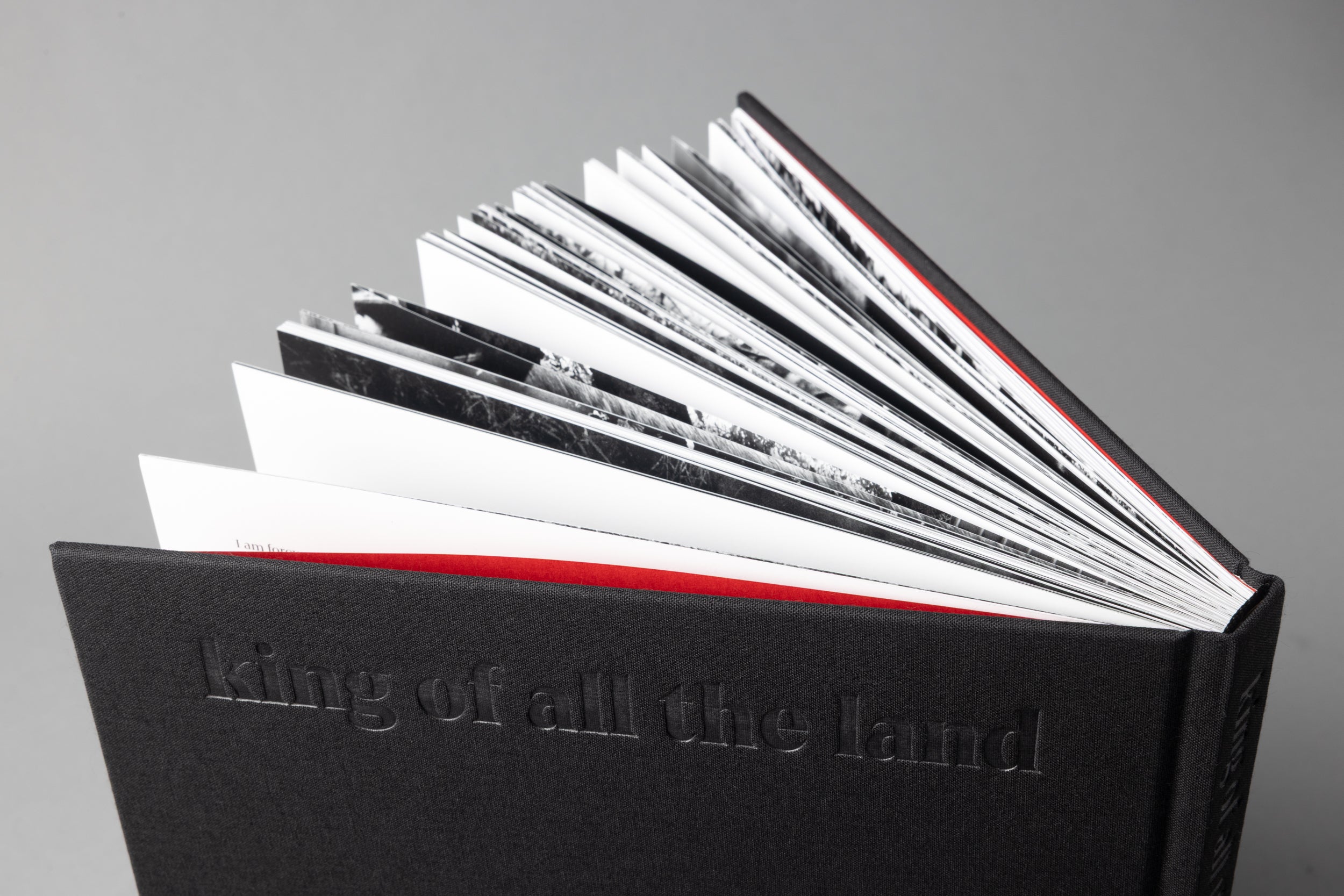 MITSKI PHOTO BOOK: KING OF ALL THE LAND, BY EBRU YILDIZ