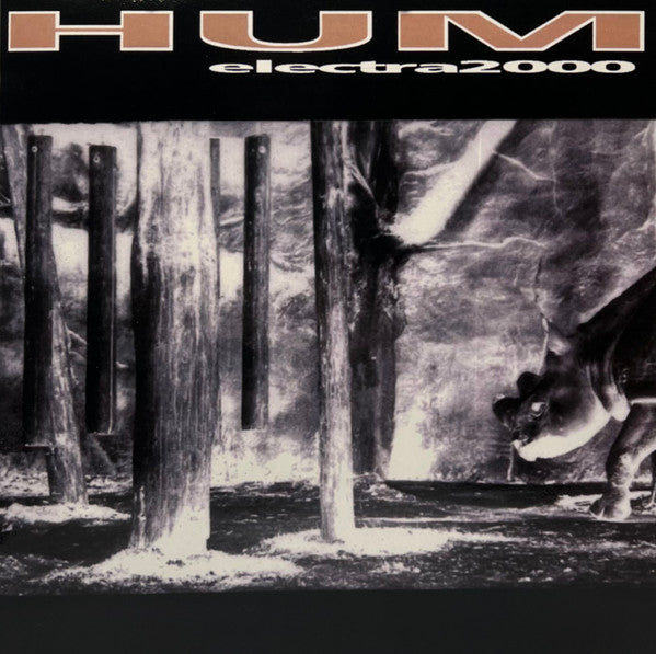 HUM 'ELECTRA 2000' 2LP (Reissue)