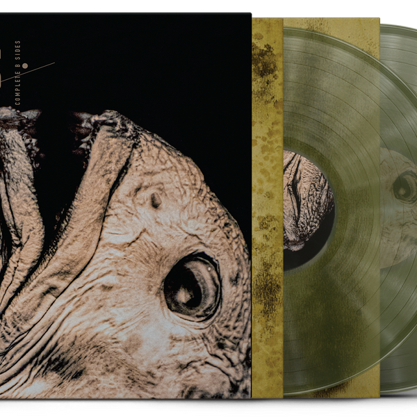 PIXIES 'COMPLETE B SIDES: 1988-97' 2LP (Exclusive – Limited to 1000, S