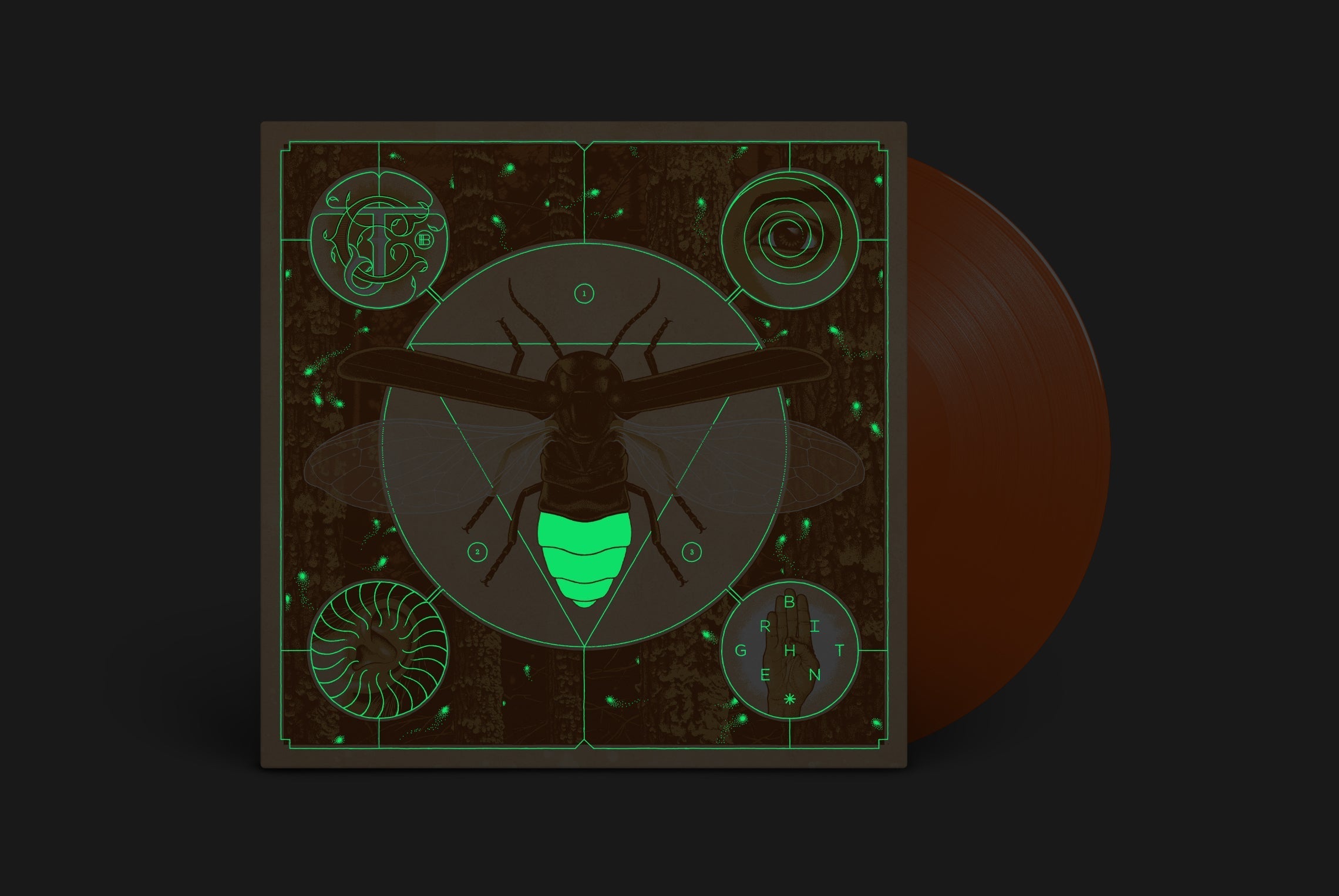 JERRY CANTRELL ‘BRIGHTEN’ HALLOWEEN ORANGE VINYL — ONLY 500 MADE