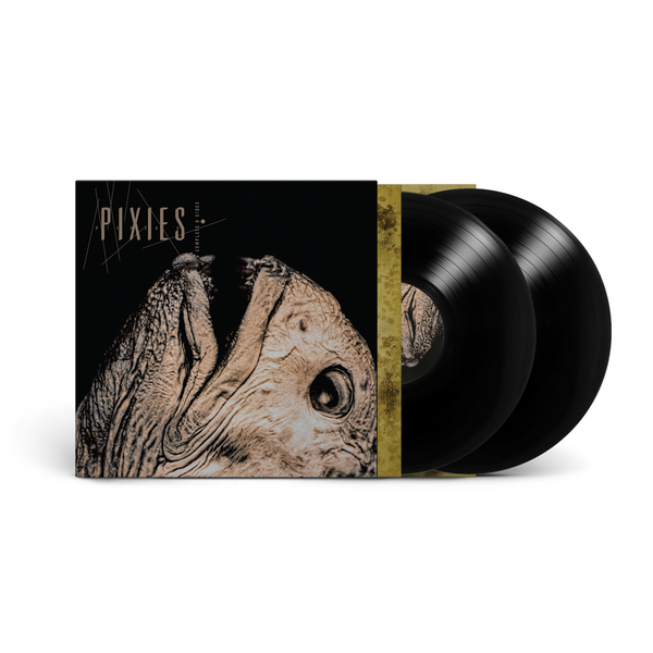 PIXIES 'COMPLETE B SIDES: 1988-97' 2LP (Black Vinyl)