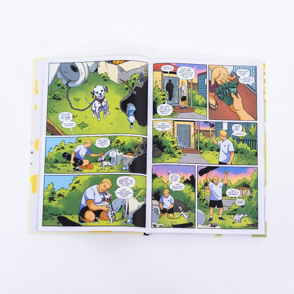 SUBLIME: $5 AT THE DOOR - DELUXE BOOK