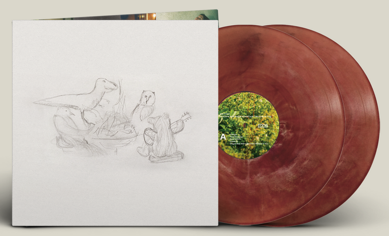 BIG THIEF 'DRAGON NEW WARM MOUNTAIN I BELIEVE IN YOU' 2LP (Limited Edition Eco Friendly Vinyl)