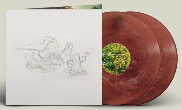 BIG THIEF 'DRAGON NEW WARM MOUNTAIN I BELIEVE IN YOU' 2LP (Limited Edition  Eco Friendly Vinyl)