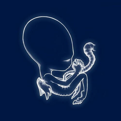 SIGUR ROS 'AGAETIS BYRJUN' 2LP