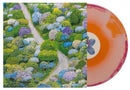 FIDDLEHEAD 'BETWEEN THE RICHNESS' LP (Orange, Red, & Cream Swirl Vinyl)