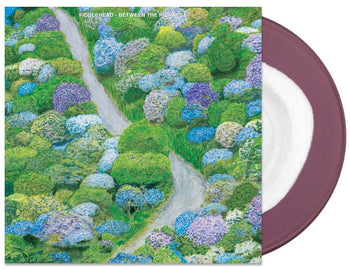 FIDDLEHEAD 'BETWEEN THE RICHNESS' LP (White & Purple Vinyl)