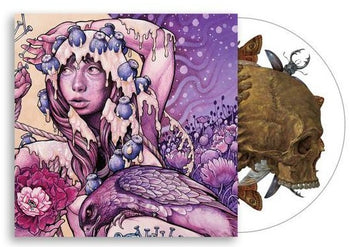 BARONESS 'TRY TO DISAPPEAR' 12" EP (Picture Disc)