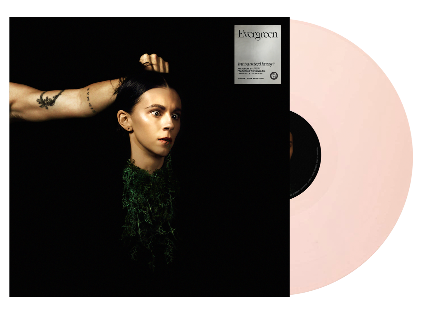 PVRIS ‘EVERGREEN’ LP (Limited Edition – Only 500 made, Sonnet Pink Vinyl)