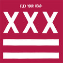 VARIOUS ARTISTS 'FLEX YOUR HEAD' LP (Legendary Dischord Records Comp: Minor Threat, More)