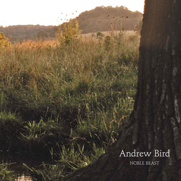 ANDREW BIRD 'NOBLE BEAST' 2LP